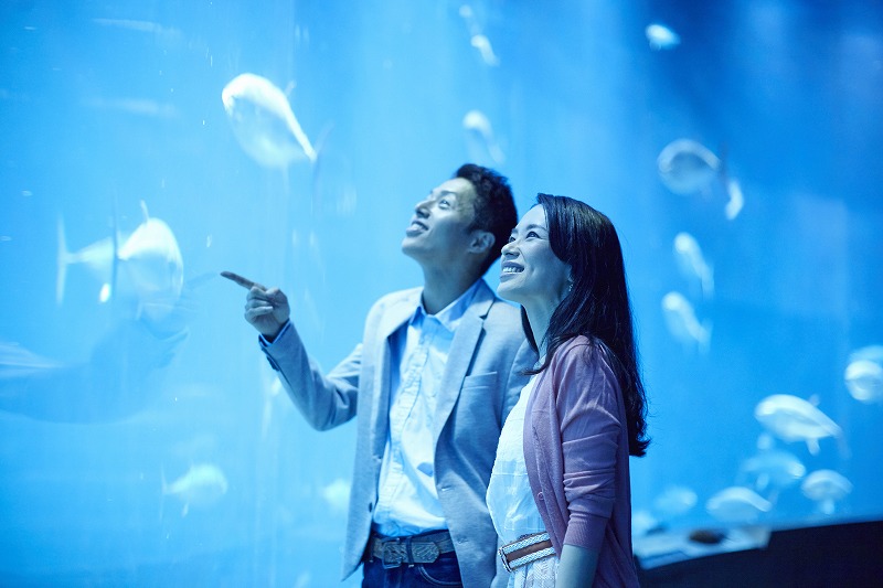 遊園地、動物園、水族館…全国のレジャー施設が割引に。楽しい時間をお届けします。