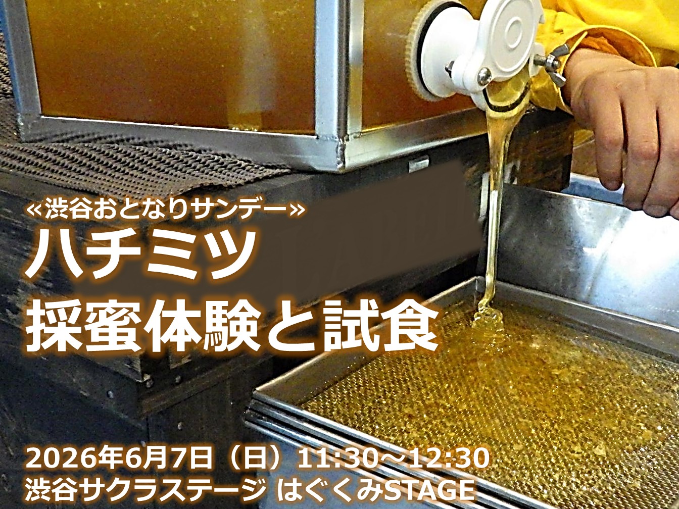 ハチミツ採蜜体験・試食＠渋谷サクラステージ≪渋谷おとなりサンデー≫