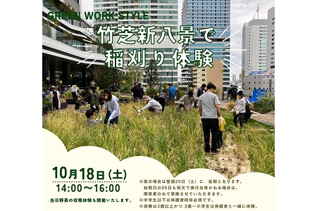 【終了】【10/18(土）稲刈りイベント＠竹芝】当日、野菜の収穫体験も開催いたします♪